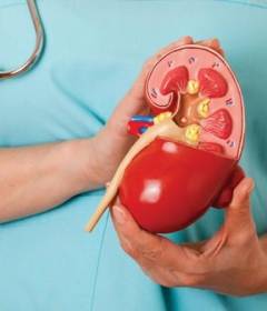 Лапароскопическая нефрэктомия