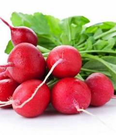 Редиска