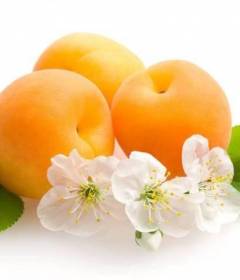 Абрикос
