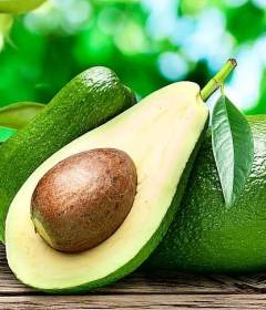 Авокадо