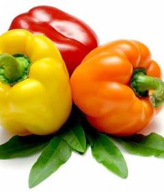 Болгарский перец