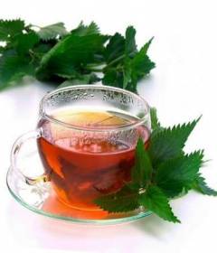 Чай из крапивы
