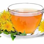  Чай из одуванчика: польза и вред, рецепты применения корней, листьев и цветков 