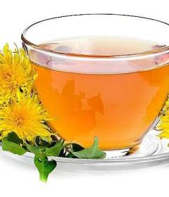 Чай из одуванчика