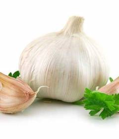 Чеснок