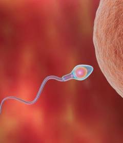 Что такое астенозооспермия у мужчин