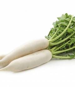 Дайкон