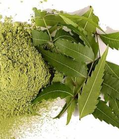 Экстракт ним