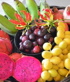 14 экзотических фруктов