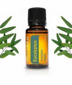 Эвкалиптовое масло