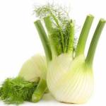  Фенхель: 12 лечебных свойств и противопоказания 