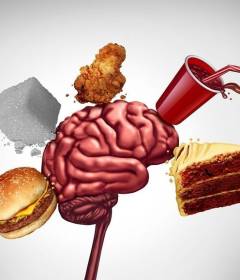 10 продуктов, ухудшающих память