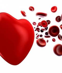 Как очистить кровь