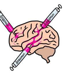 Как слезть с «дофаминовой иглы»