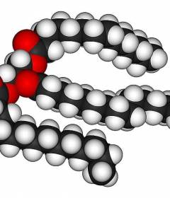 Как снизить триглицериды