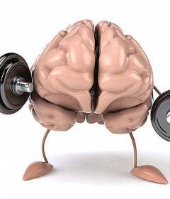 Как улучшить память и работу мозга