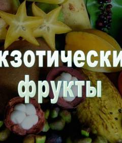 Какие экзотические фрукты самые полезные