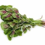  Шпинат красный — 14 полезных свойств и применение 