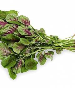 Шпинат красный