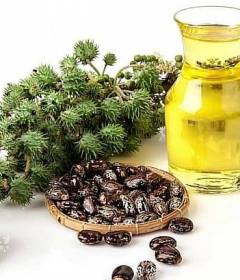 Касторовое масло во время беременности