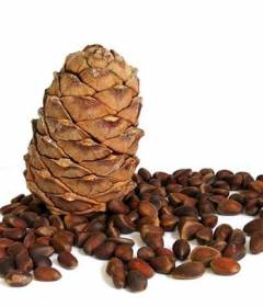 Кедровый орех