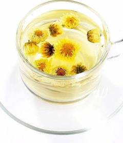 Хризантема