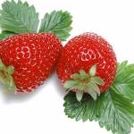  Чем полезна клубника для здоровья человека? 