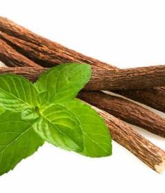 Корень солодки