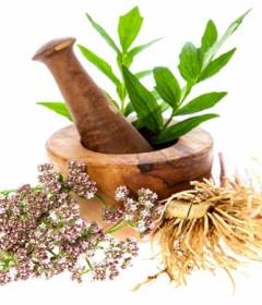 Корень валерианы