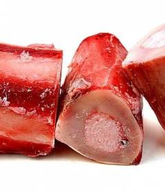 Костный мозг