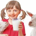  Козье молоко – 9 полезных свойств и противопоказания 