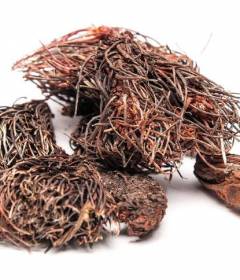 Красная щетка