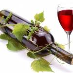  Красное вино – польза и вред: 17 научных фактов о вине 