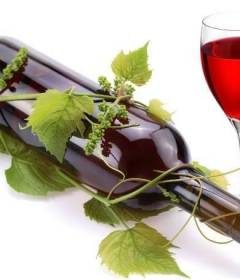 Красное вино