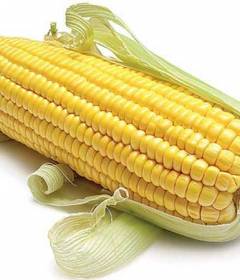 Кукуруза