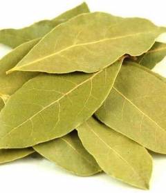 Лавровый лист