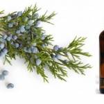  10 свойств масла можжевельника, его применение для лечения и в косметологии 