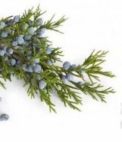 Масло можжевельника