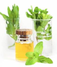 Масло мяты