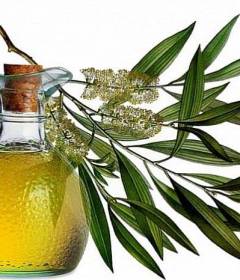 Масло равенсары