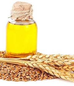 Масло зародышей пшеницы