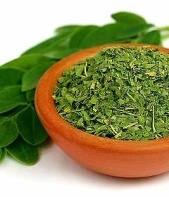 Моринга чай