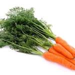  В чем польза моркови для здоровья организма? 
