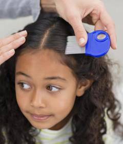 Обработка вшей и гнид в домашних условиях