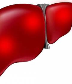 Очистка печени