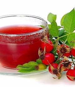 Отвар шиповника