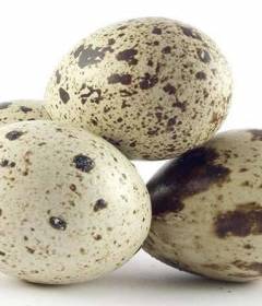 Перепелиные яйца