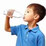  Можно ли пить во время еды, научные фактов 