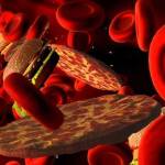  Как победить холестерин диетой - что можно есть при повышенном холестерине 