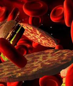 Питание при повышенном холестерине